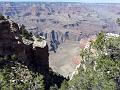 Grand Canyon P1020523